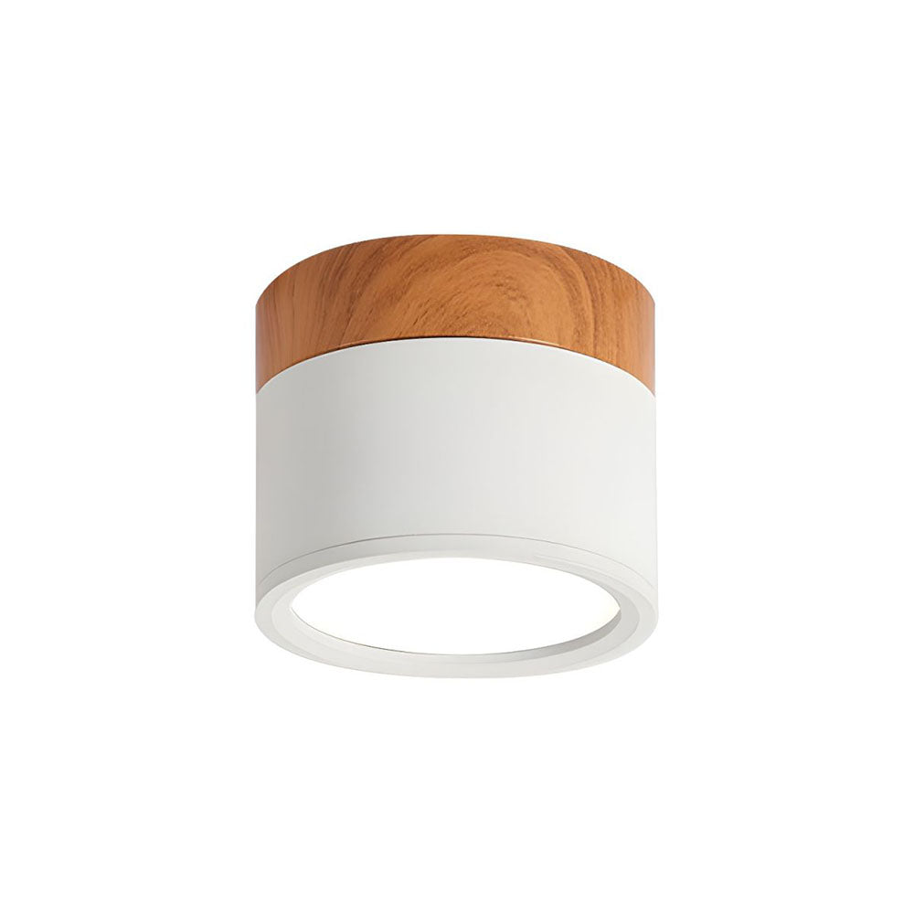 Small Flush Ceiling Light