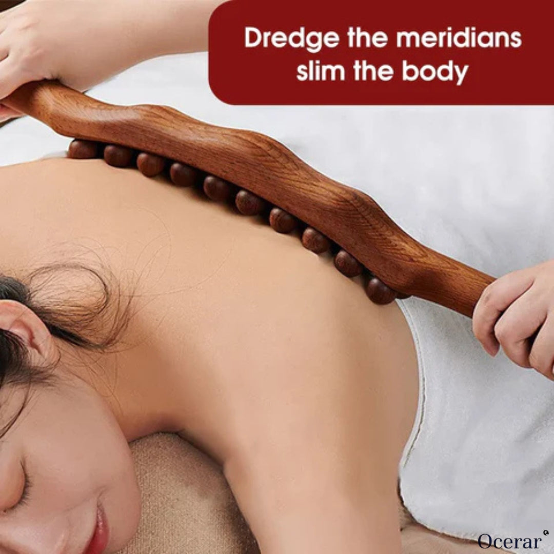 Back Massager
