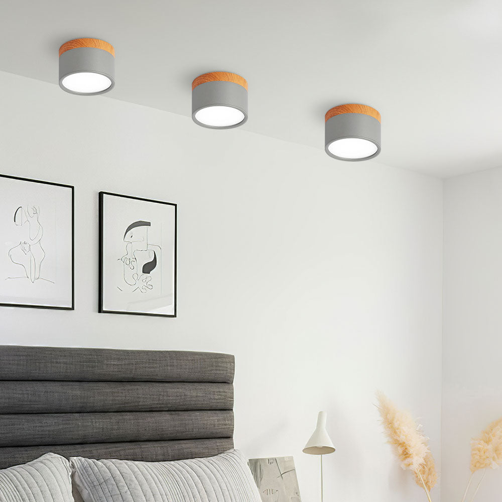Small Flush Ceiling Light