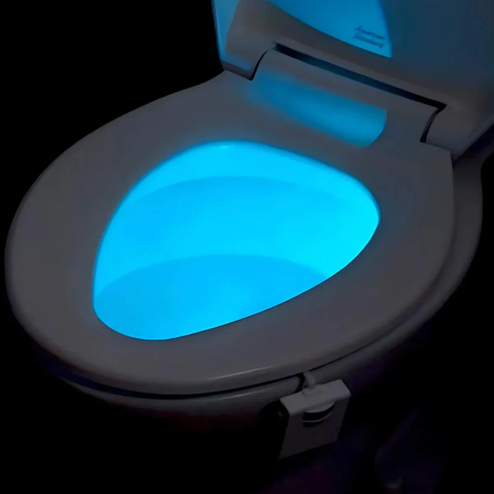 LED Toilet Night Light