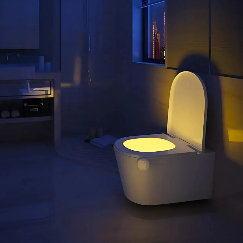 LED Toilet Night Light