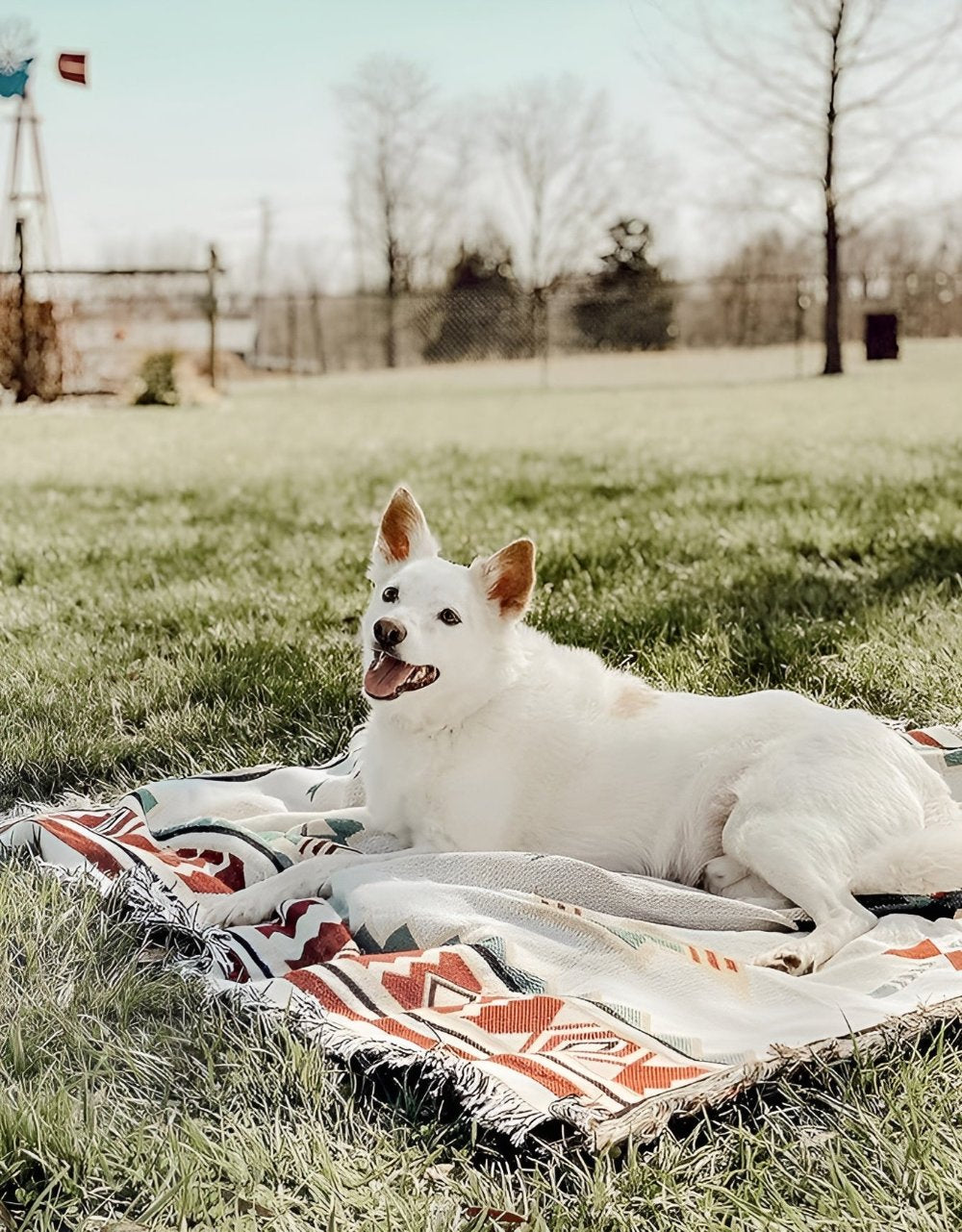 Reversible Picnic Mat