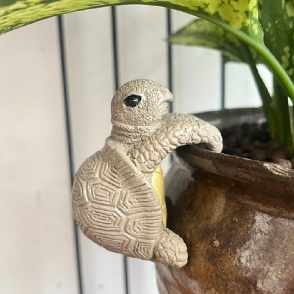 Climbing Turtle Pot Hanger