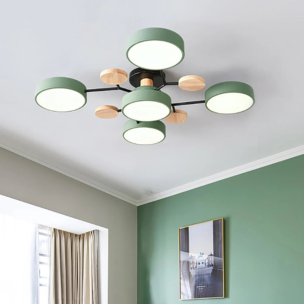 Designer Ceiling Lamp