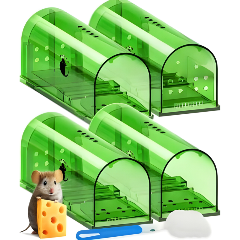 Catch Mouse Trap Set