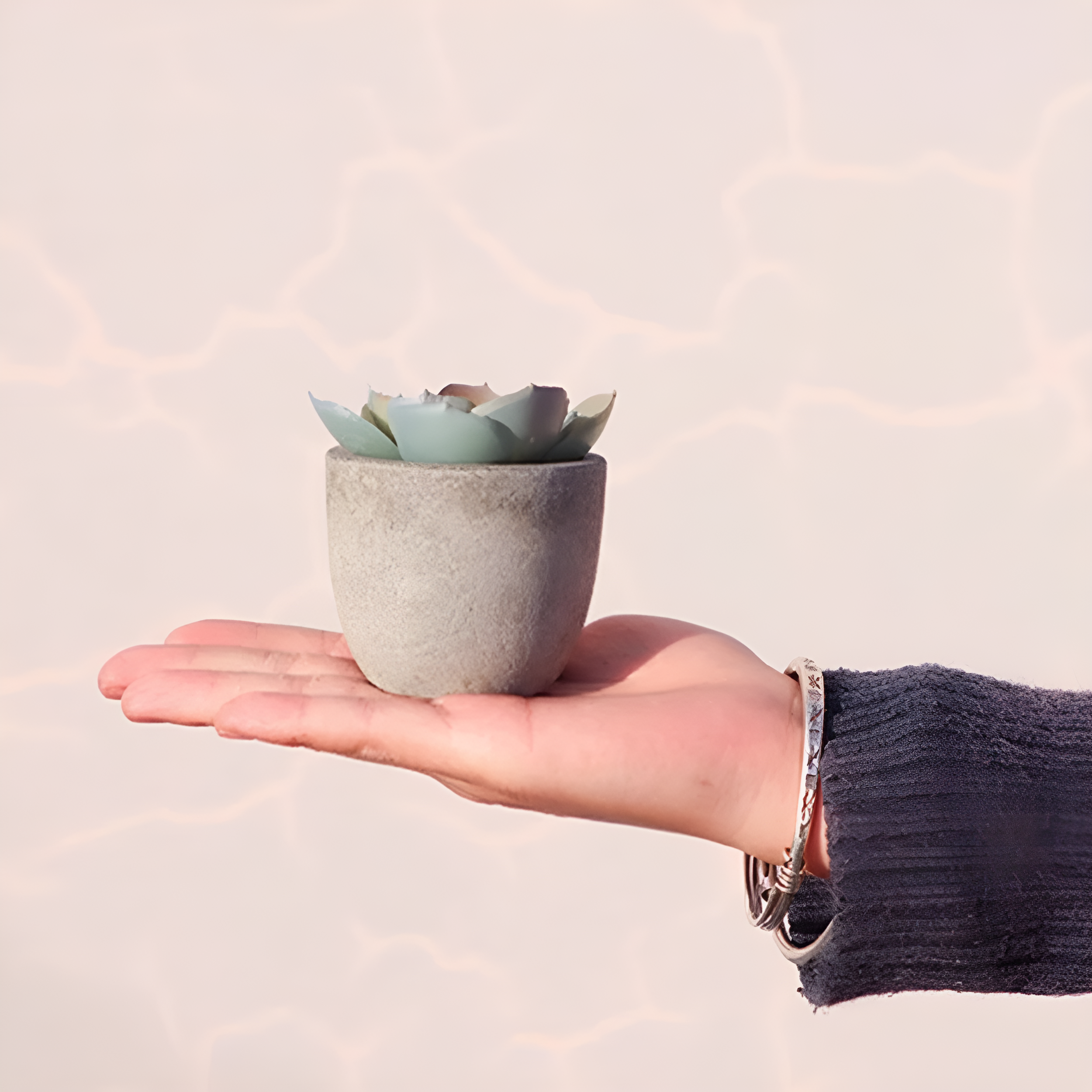 Mini Succulent Desk Accent