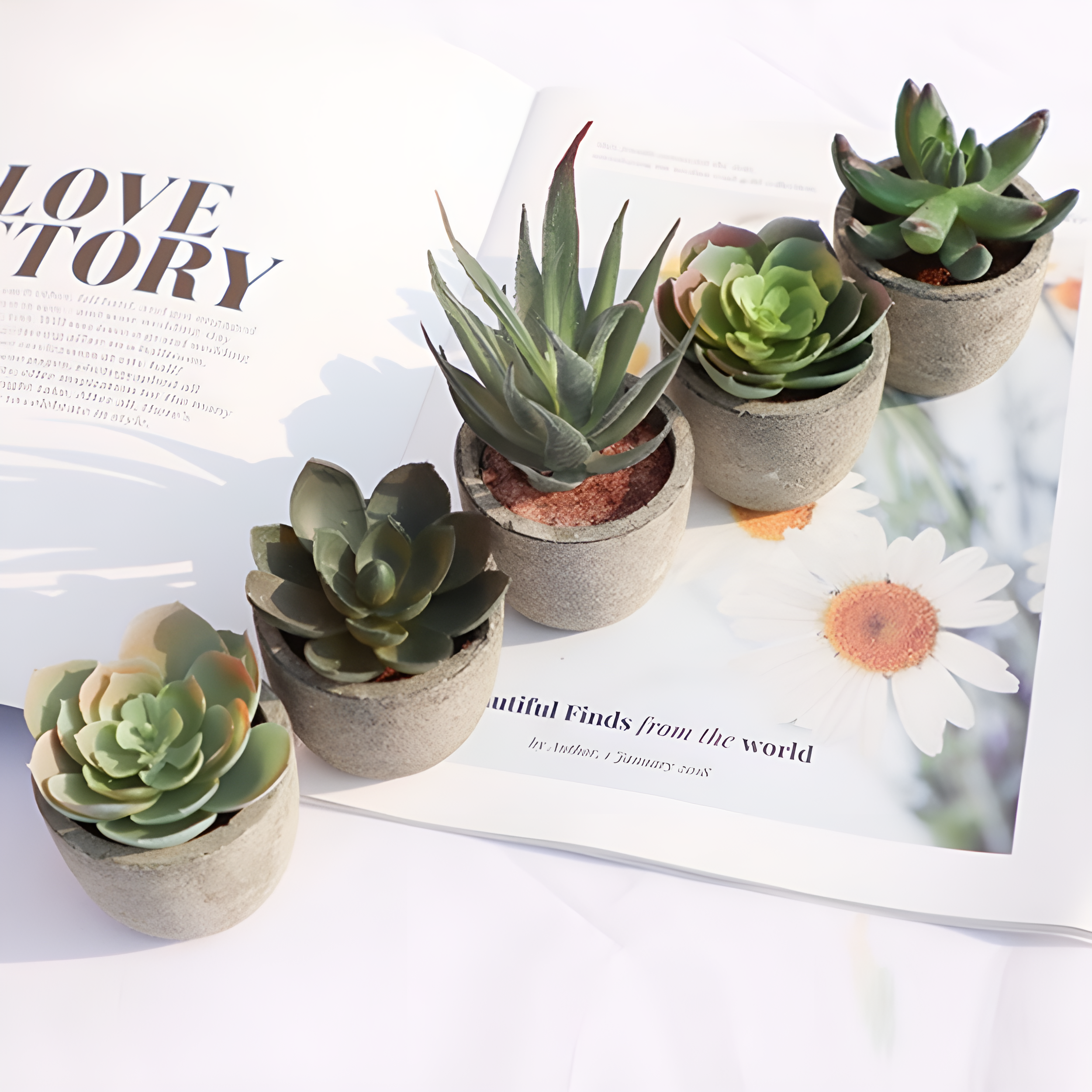 Mini Succulent Desk Accent
