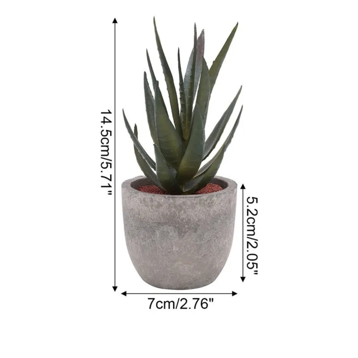 Mini Succulent Desk Accent
