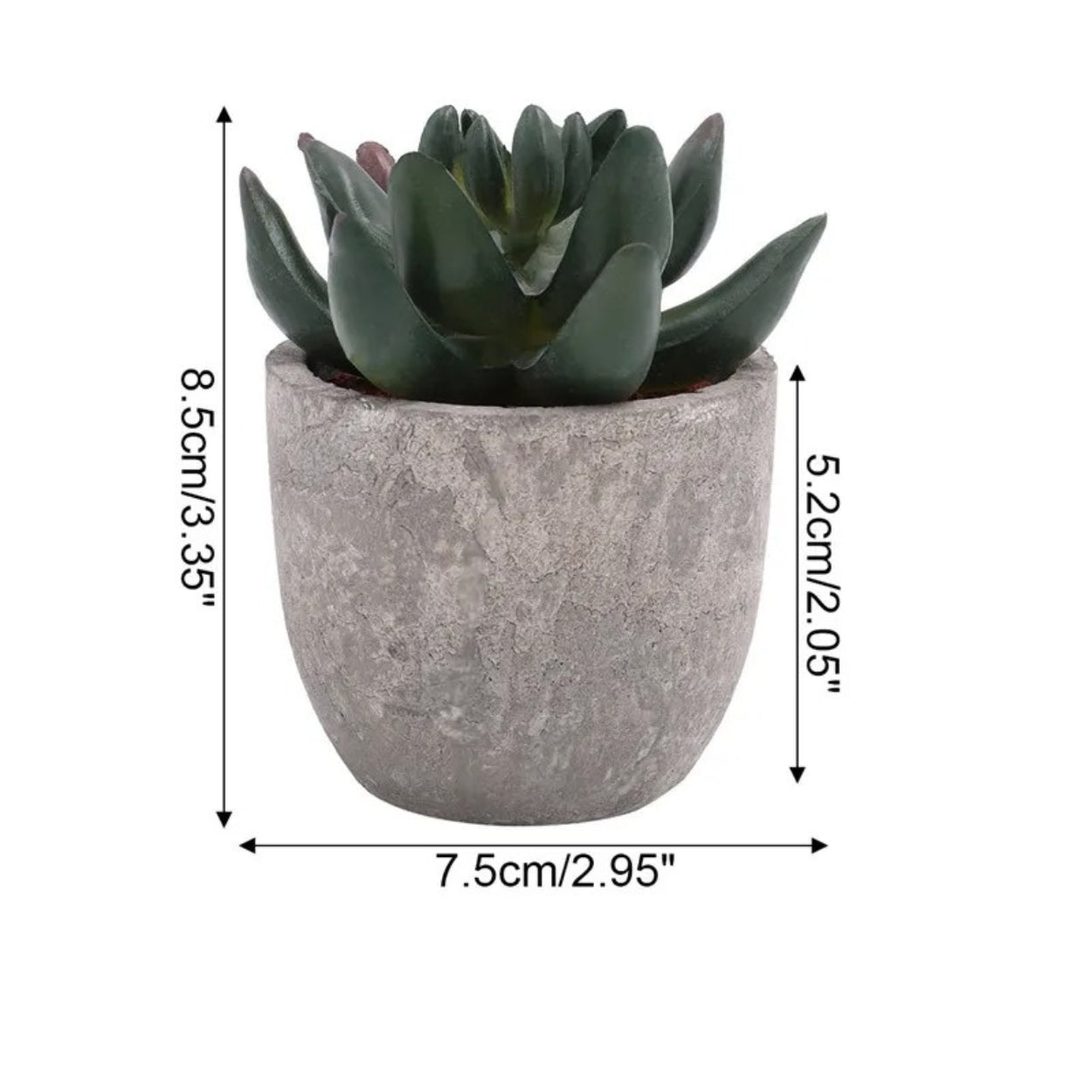 Mini Succulent Desk Accent