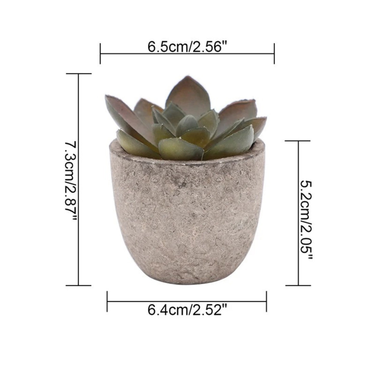 Mini Succulent Desk Accent