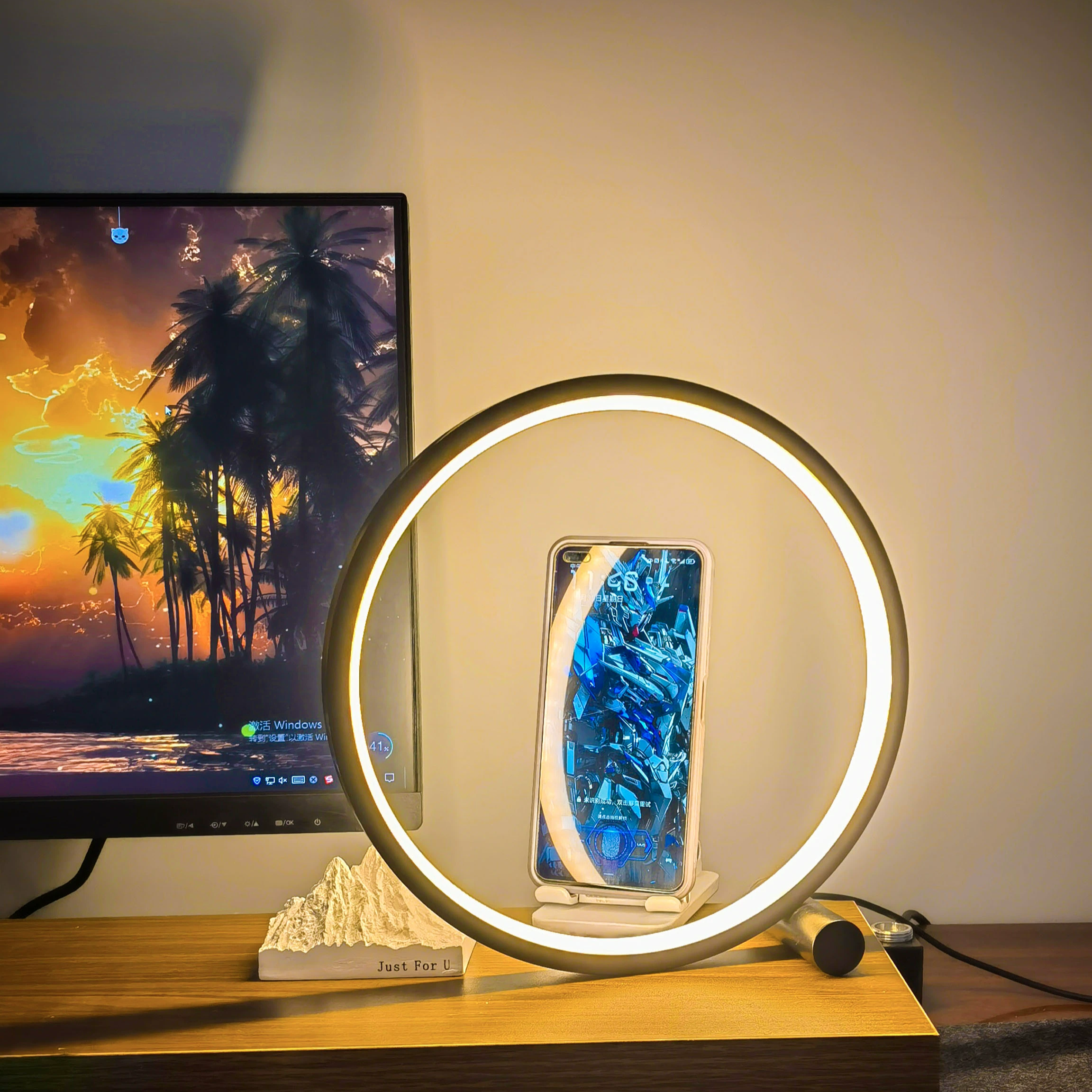 Halo Ring Lamp