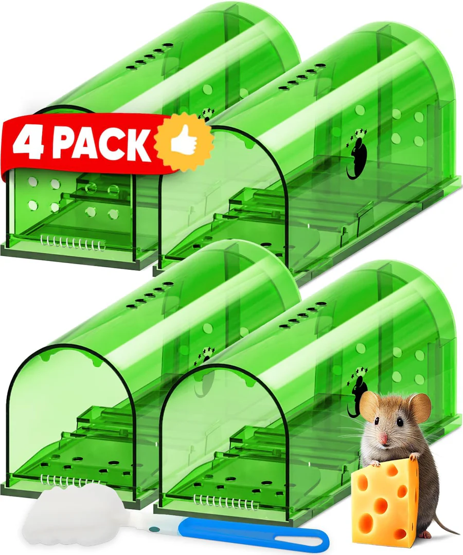 Catch Mouse Trap Set
