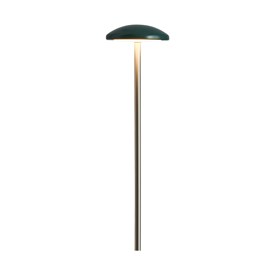 Modern Acrylic Outdoor Landscape Path Light