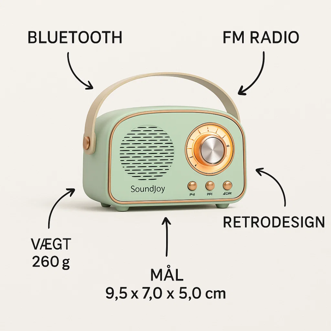 Portable Retro Speaker