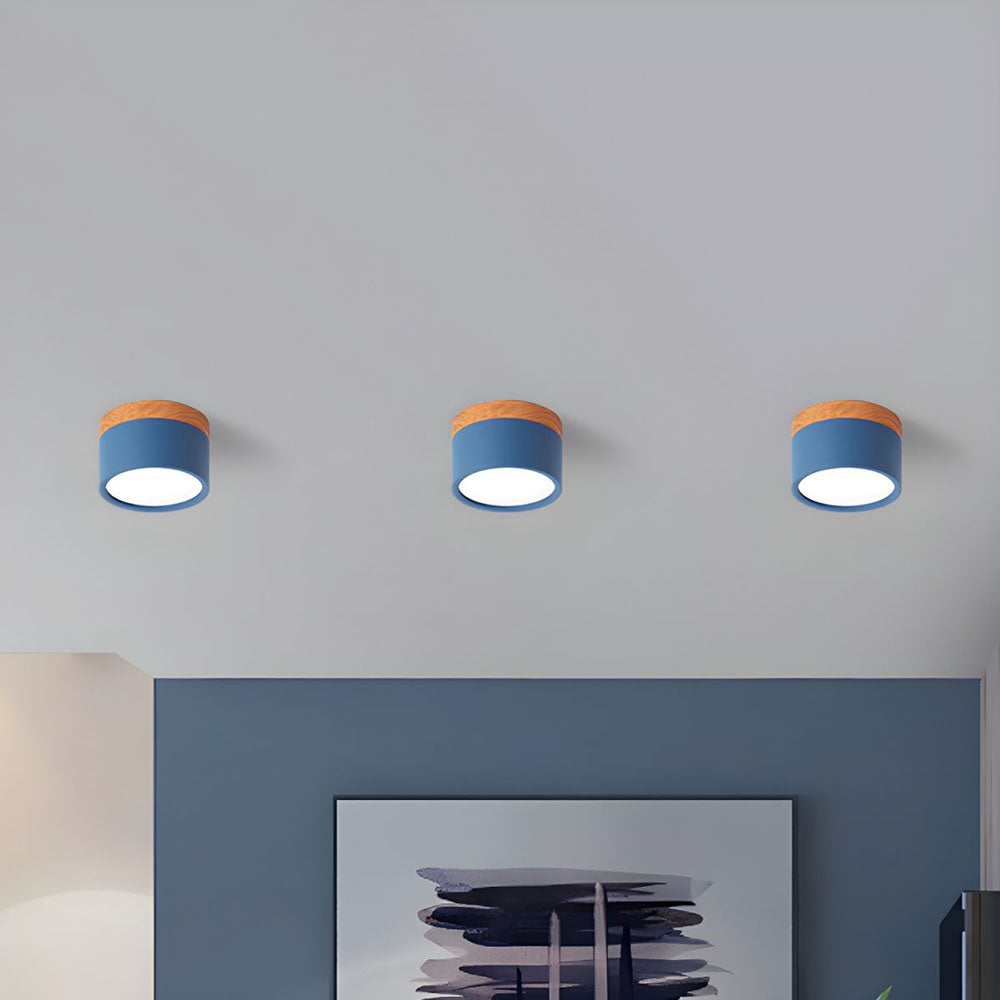 Small Flush Ceiling Light