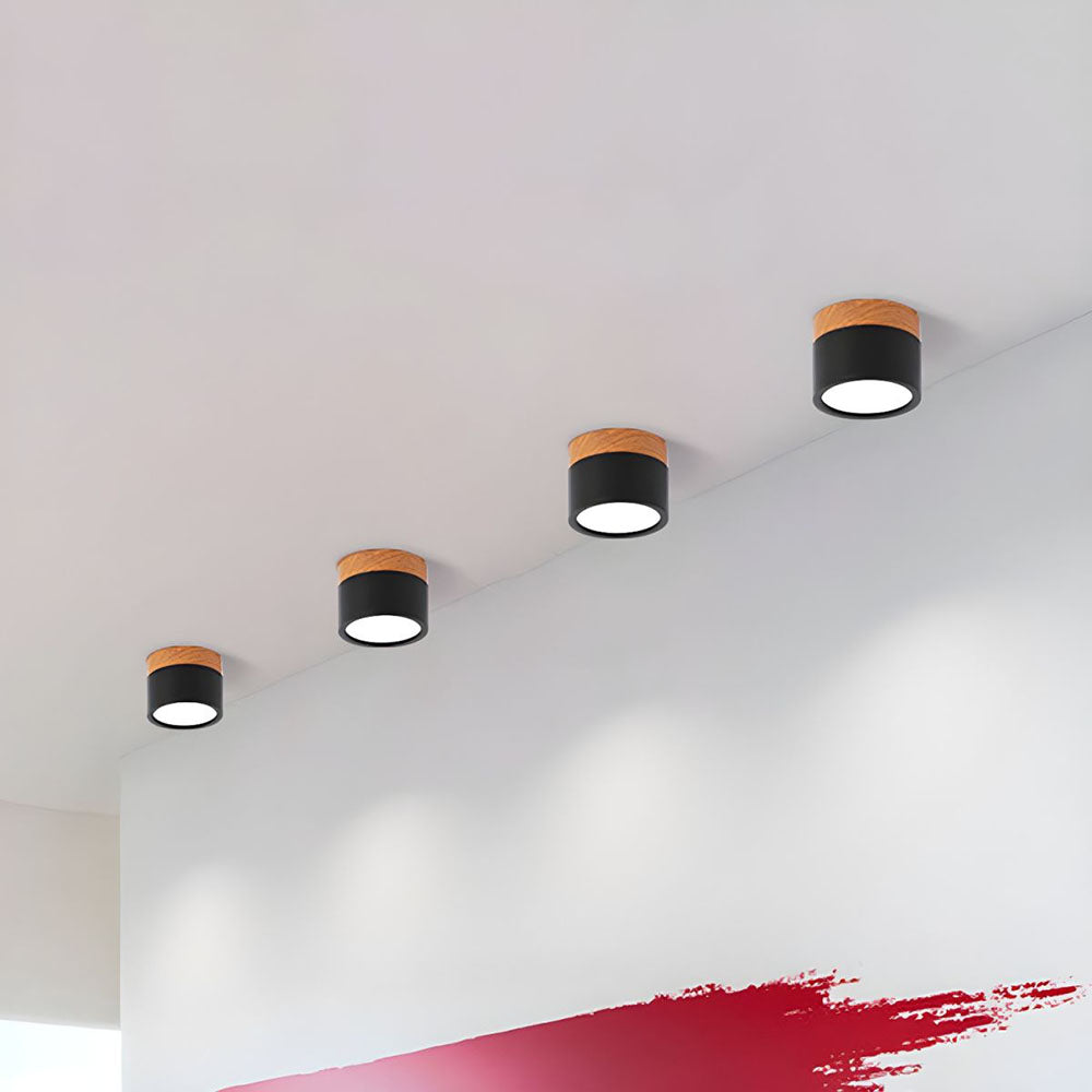 Small Flush Ceiling Light