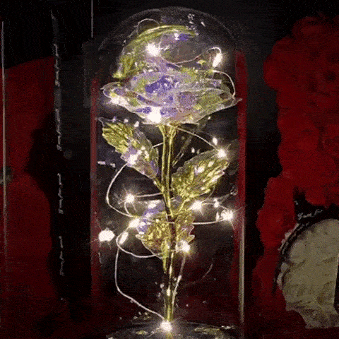 reserved Rose in Glass Dome Display