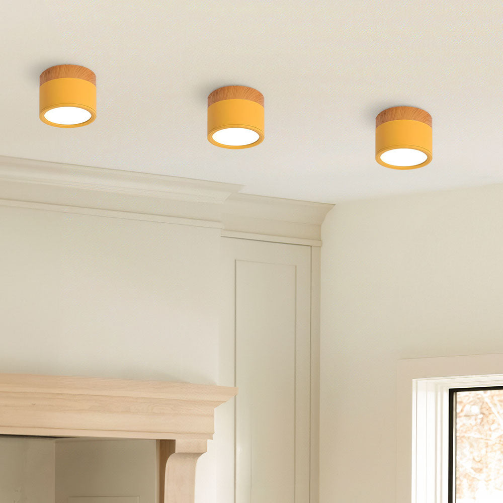 Small Flush Ceiling Light