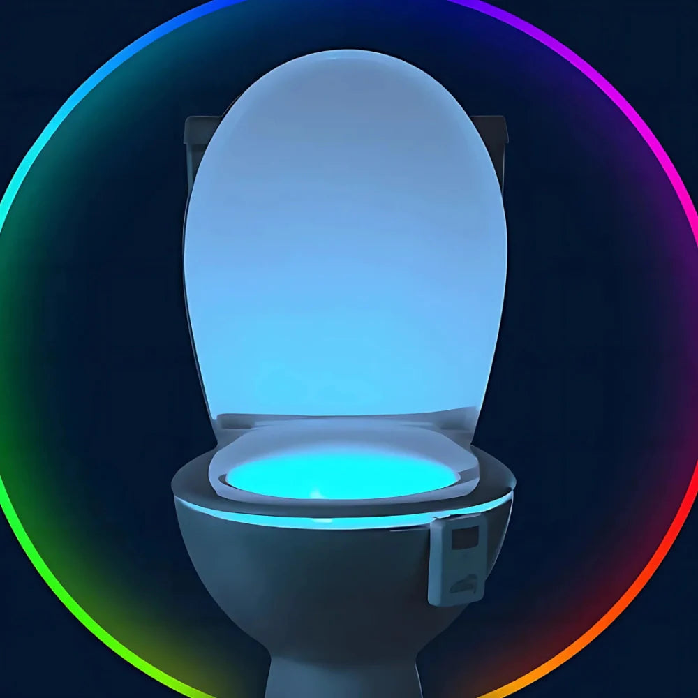 LED Toilet Night Light
