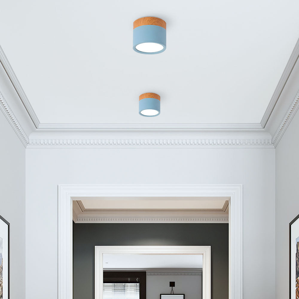 Small Flush Ceiling Light