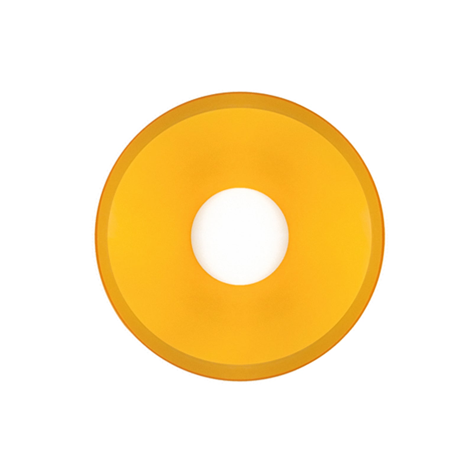 Round Flush Ceiling Light