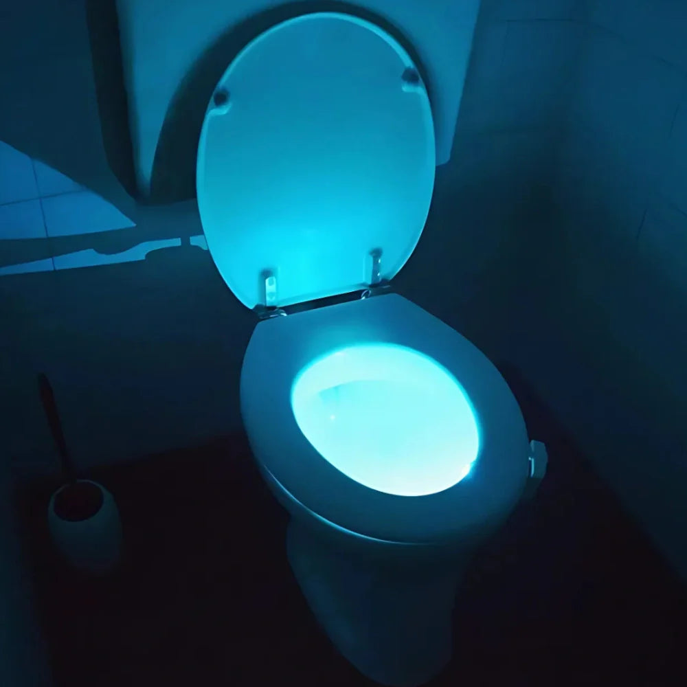 LED Toilet Night Light