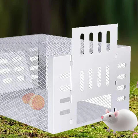 Multi-Catch Live Mouse Trap