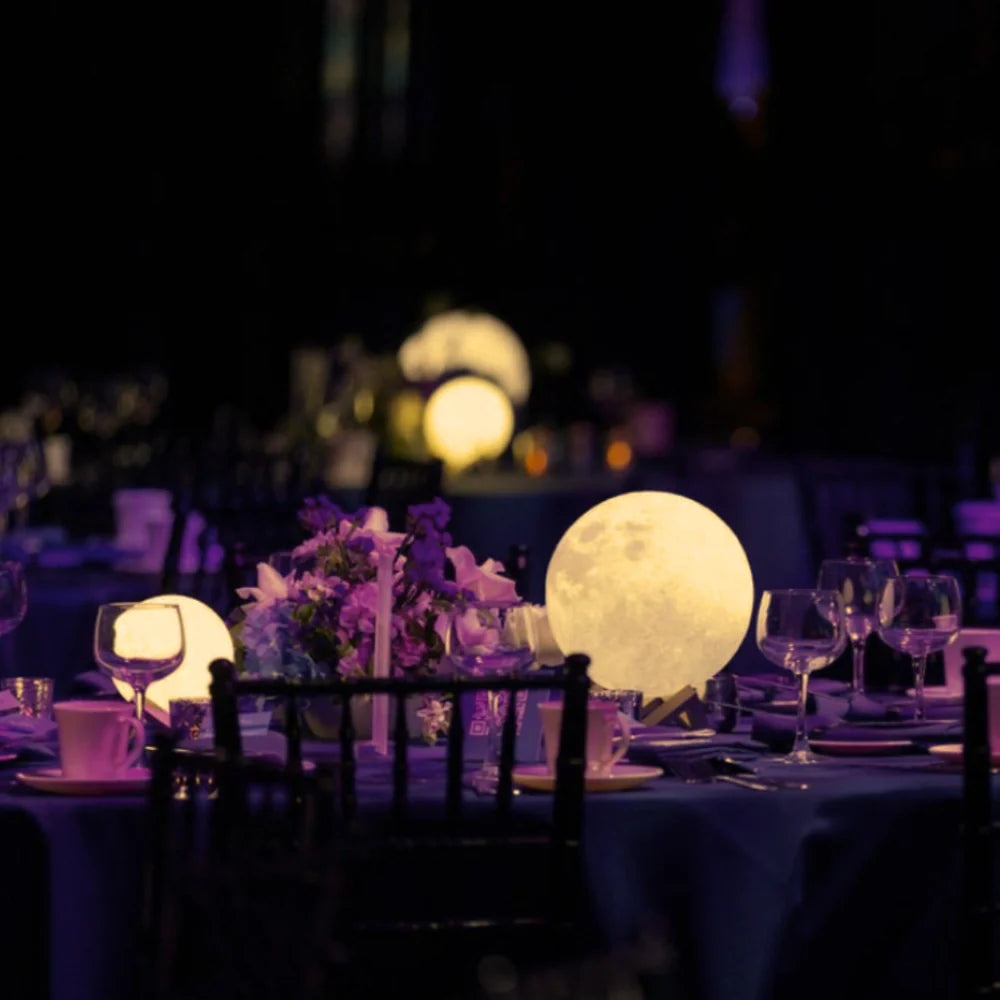 Moon Sphere Garden Light