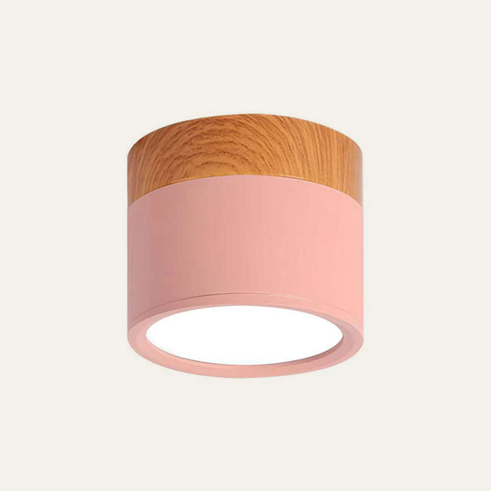 Small Flush Ceiling Light