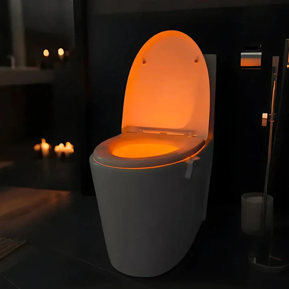 LED Toilet Night Light