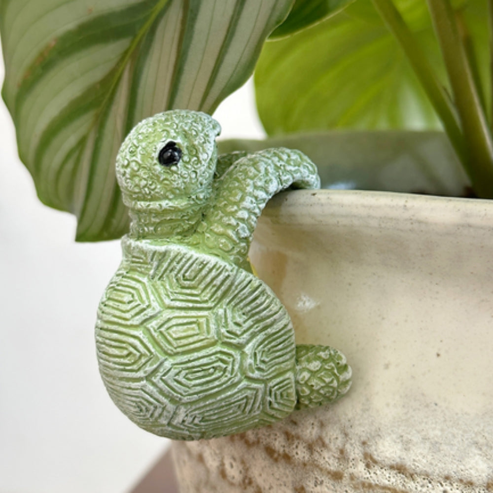 Climbing Turtle Pot Hanger