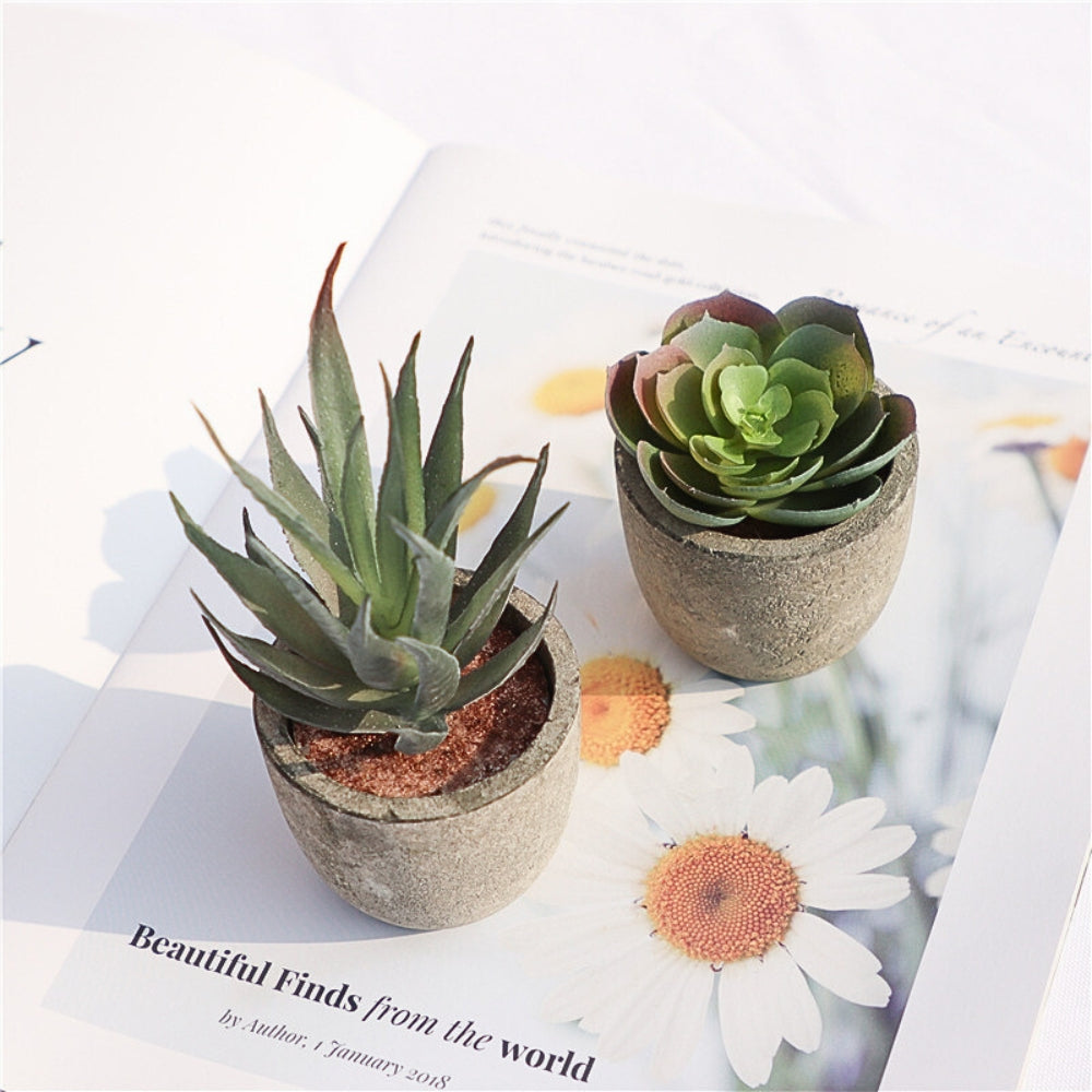 Mini Succulent Desk Accent
