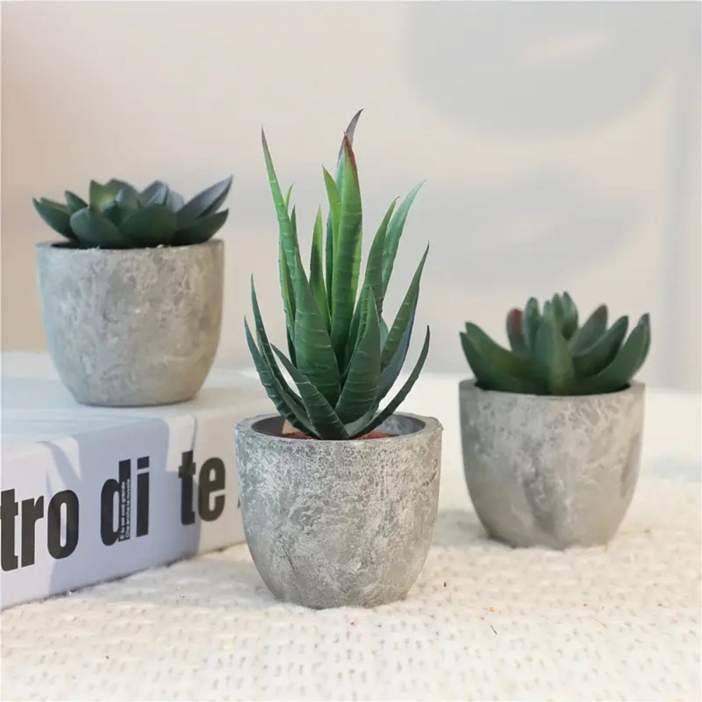 Mini Succulent Desk Accent