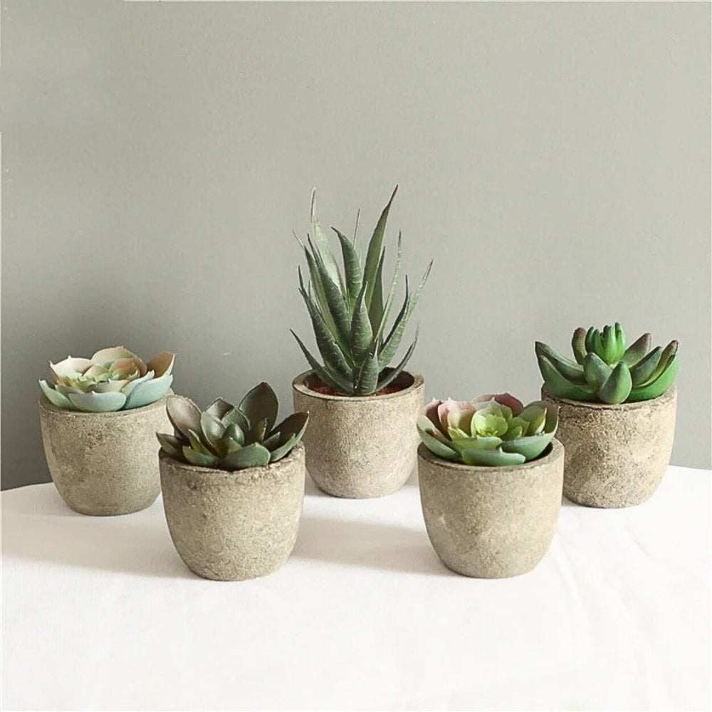 Mini Succulent Desk Accent