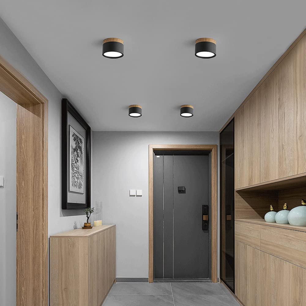 Small Flush Ceiling Light