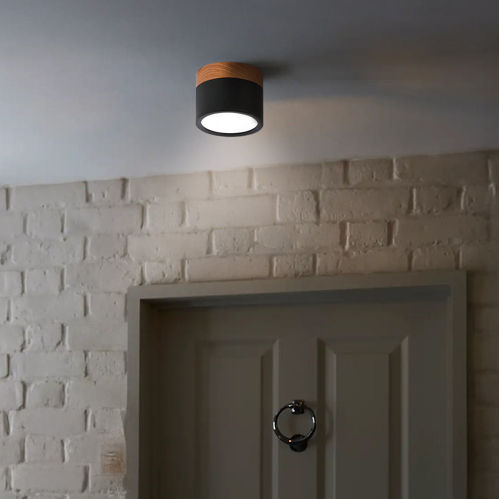 Small Flush Ceiling Light