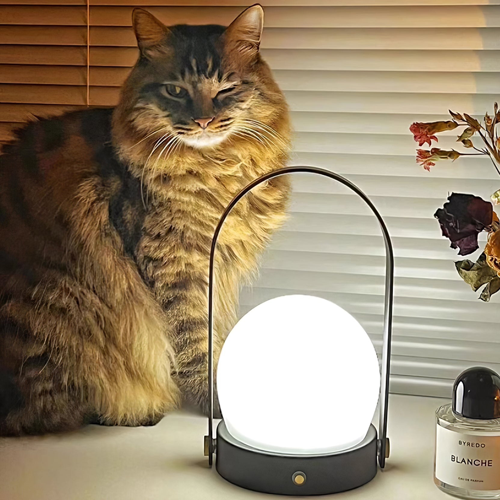 Sun Handle Table Lamp