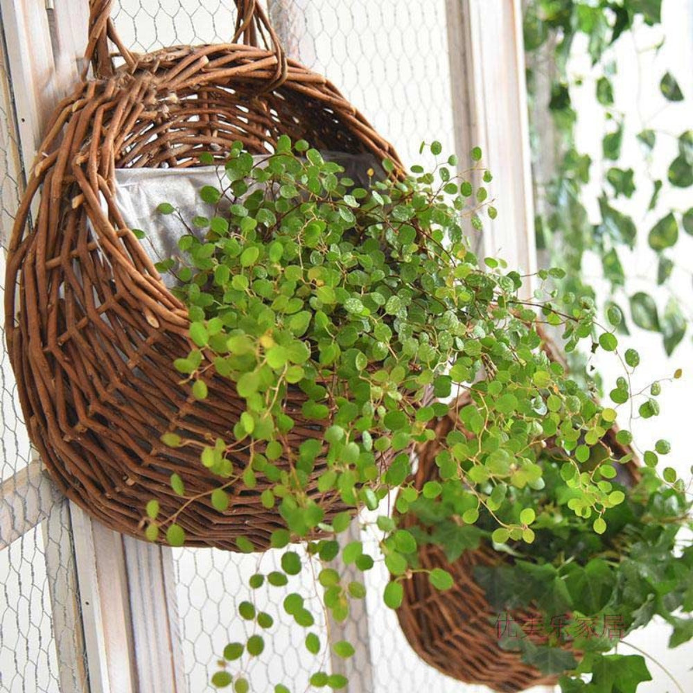Handwoven Hanging Storage Basket