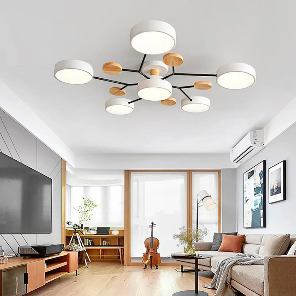 Designer Ceiling Lamp
