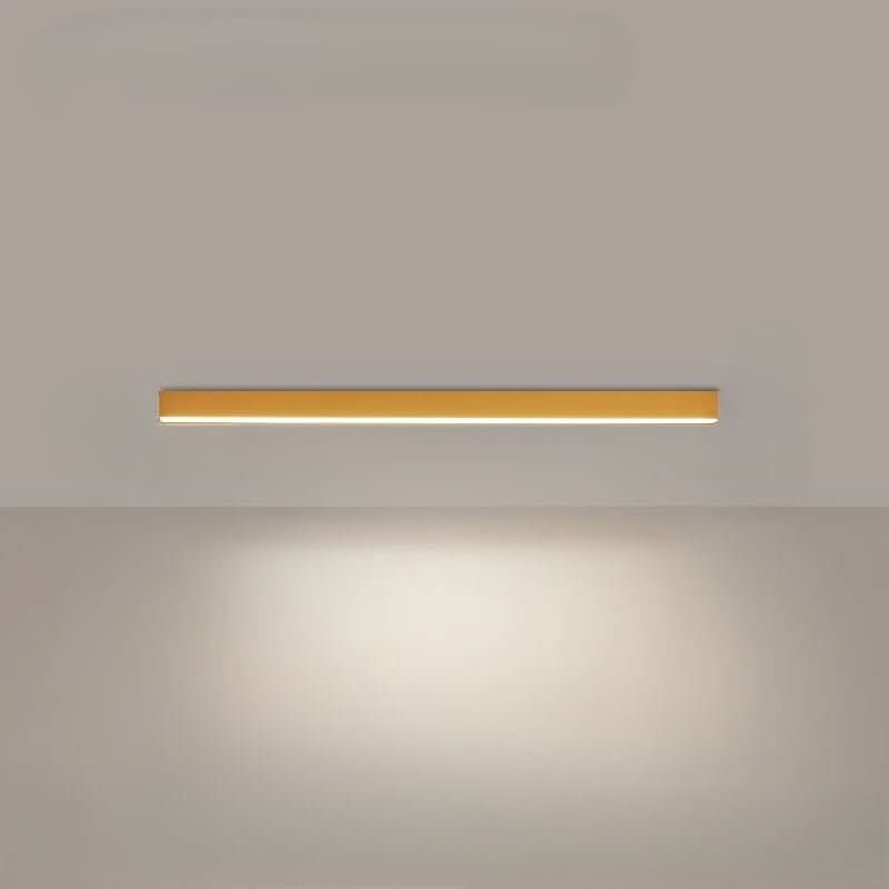 Flush LED Ceiling Light