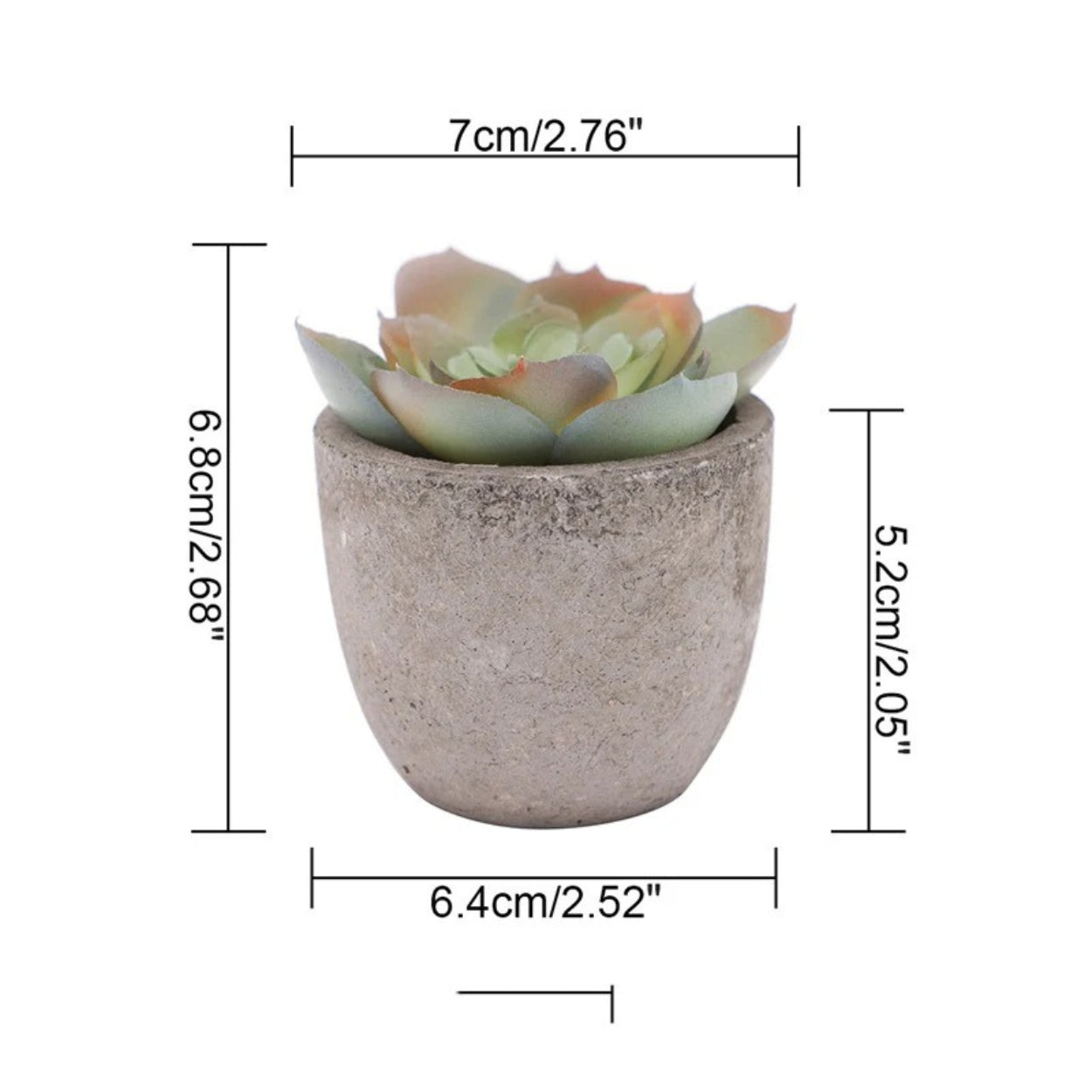 Mini Succulent Desk Accent