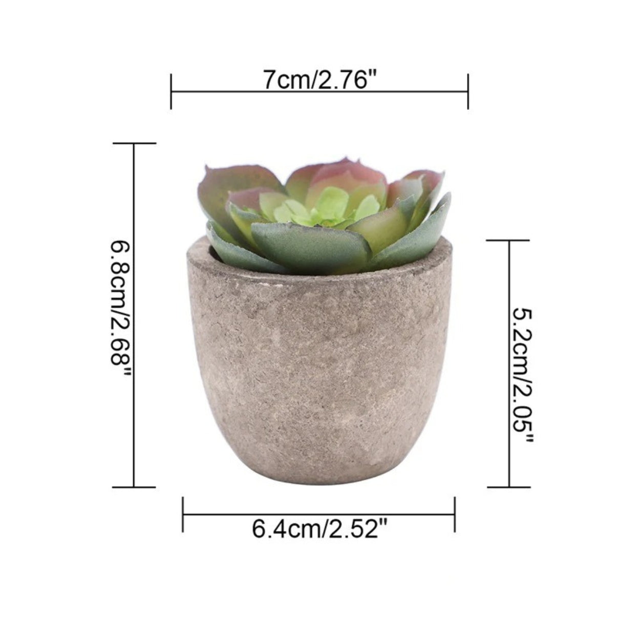 Mini Succulent Desk Accent