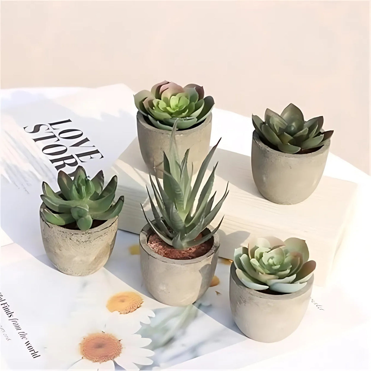 Mini Succulent Desk Accent