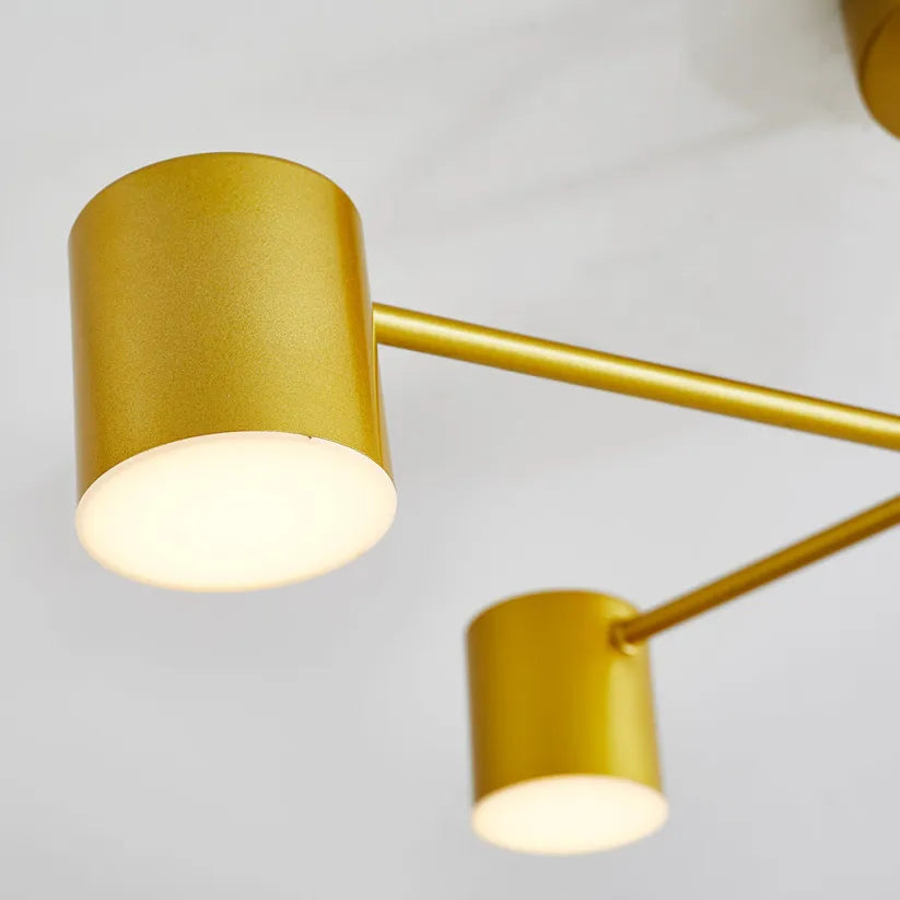 Ceiling Light with 6 Adjustable LED Heads