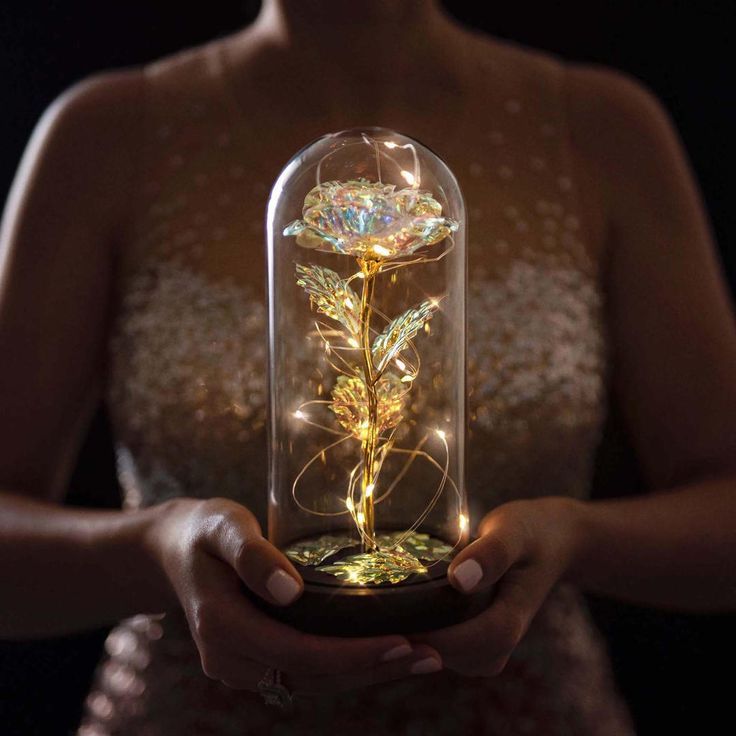 reserved Rose in Glass Dome Display