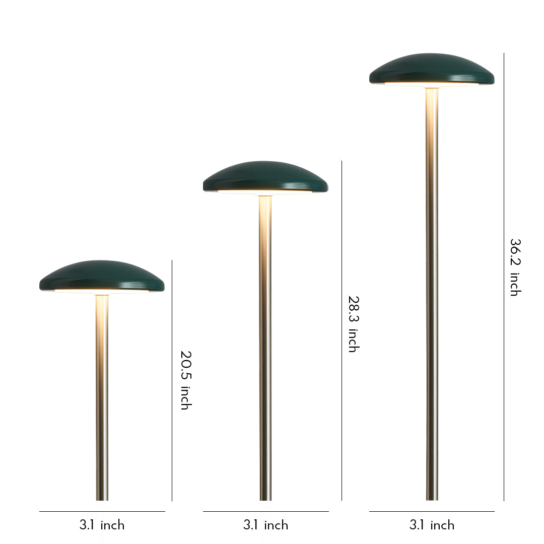 Modern Acrylic Outdoor Landscape Path Light