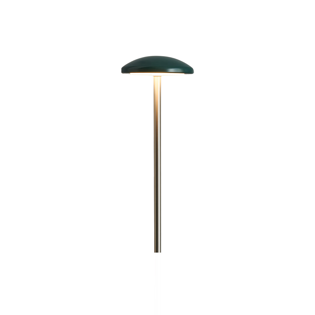 Modern Acrylic Outdoor Landscape Path Light