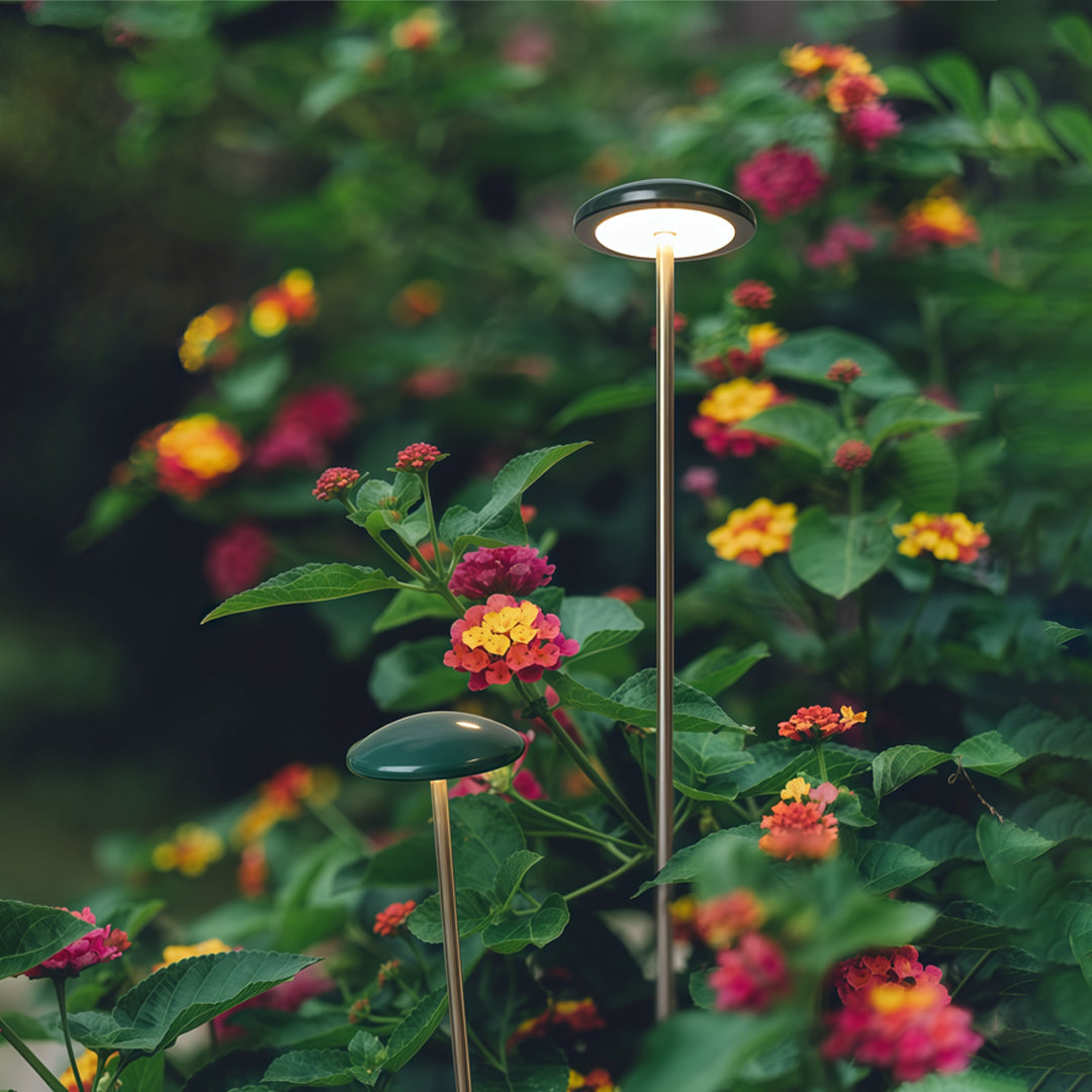 Modern Acrylic Outdoor Landscape Path Light